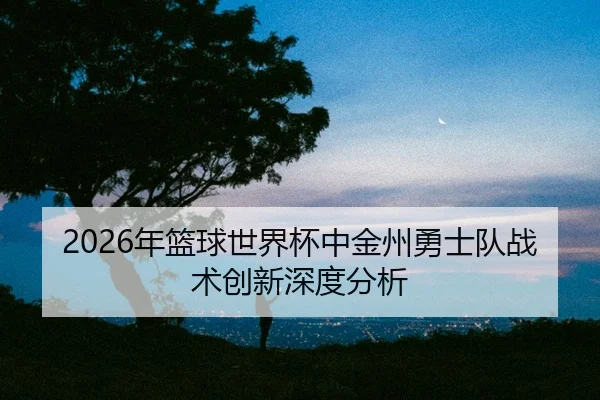 nian-lan-qiu-shi-jie-bei-zhong-jin-zhou-yong-shi-dui-zhan-shu-chuang-xin-shen-du-fen-xi-2-586.jpg