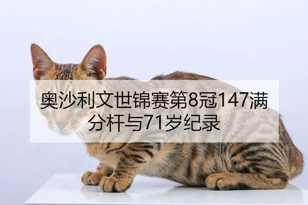 奥沙利文世锦赛第8冠147满分杆与71岁纪录