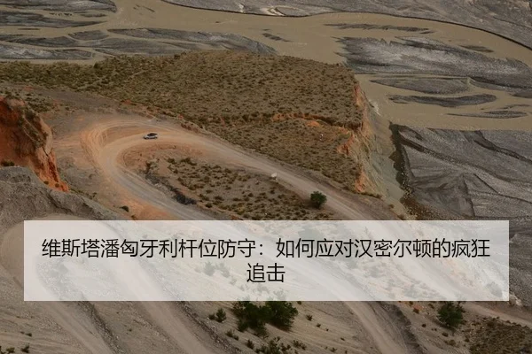 维斯塔潘匈牙利杆位防守：如何应对汉密尔顿的疯狂追击