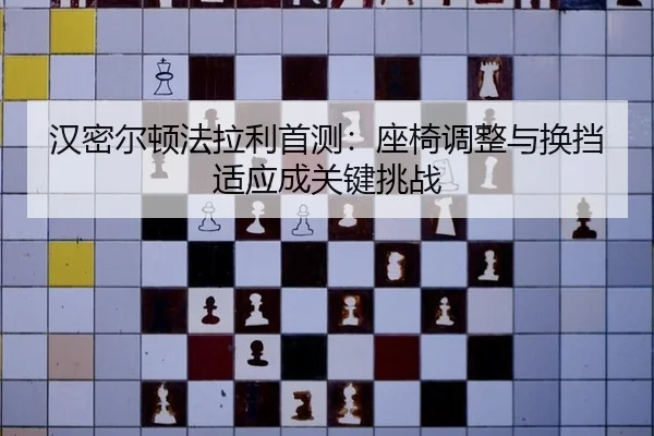 han-mi-er-dun-fa-la-li-shou-ce-zuo-yi-tiao-zheng-yu-huan-dang-shi-ying-cheng-guan-jian-tiao-zhan-2-371.jpg